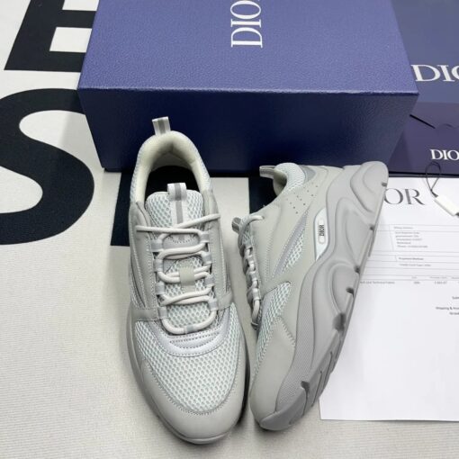 Dior B22 Grey